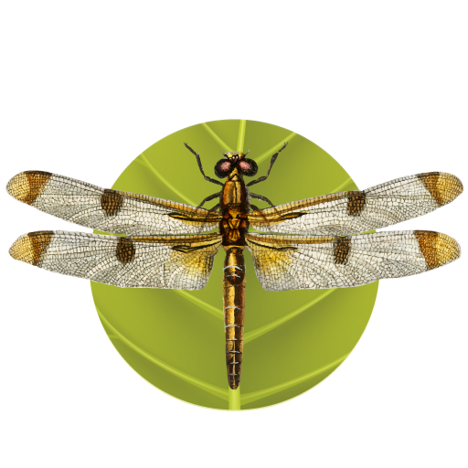 Logo Büro für angewandte Biologie