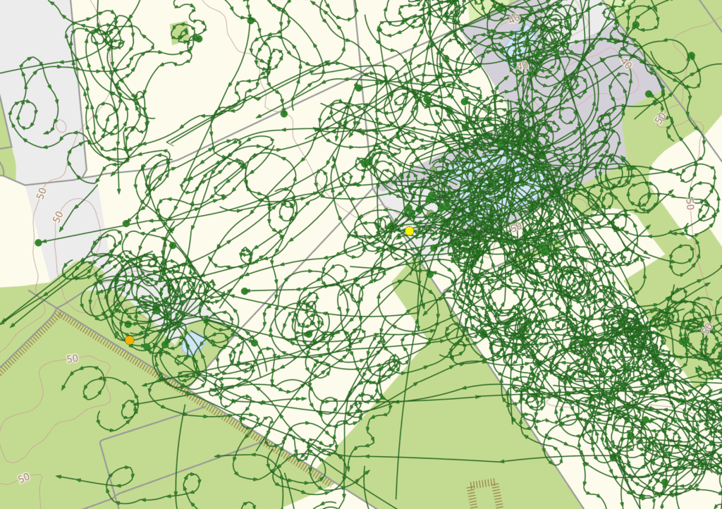 Raumnutzungsanalyse Rohrweihe