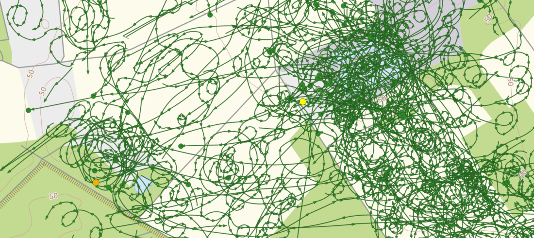 Raumnutzungsanalyse Rohrweihe