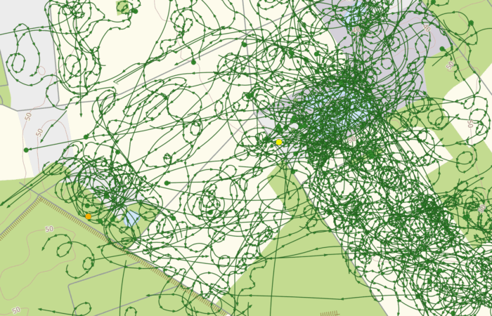 Raumnutzungsanalyse Rohrweihe