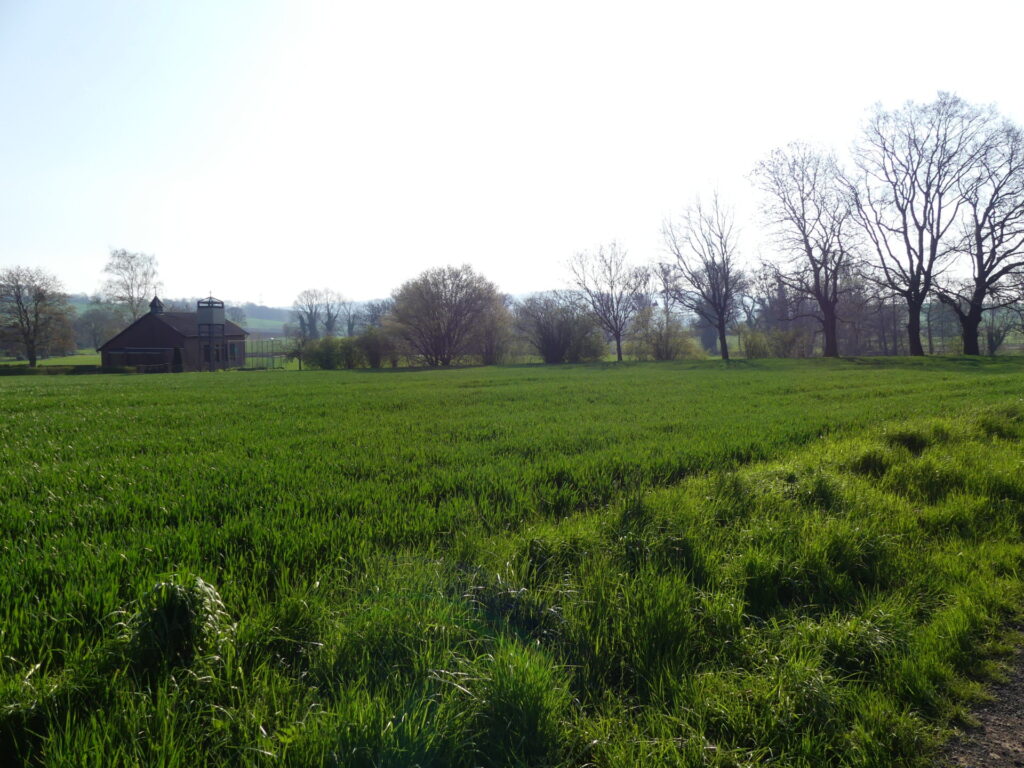Wiese im Plangebiet der Gemeinde Apelern