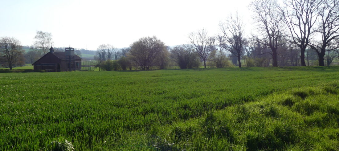 Wiese im Plangebiet der Gemeinde Apelern
