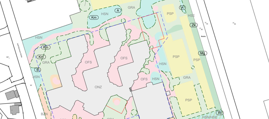Biotoptypen im Plangebiet
